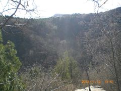 -白水寺森林公园