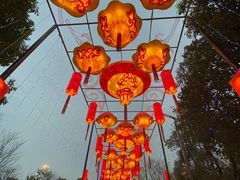 -武汉园博园(武汉自然博物馆)
