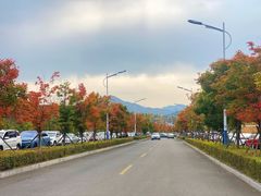 -吉林市朱雀山国家森林公园