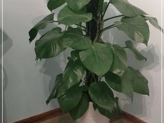 -北疆饭店(金狮广场店)