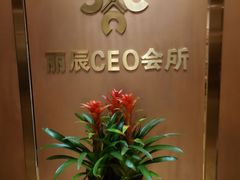-丽辰新韩式商务SPA·洗浴桑拿·自助餐食