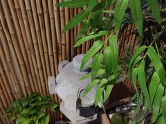 -锦初·禅意4K影院式足道·新中式SPA(茂业天地店)