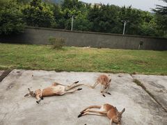 -乐和乐都主题乐园