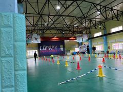 -长春乐奇平衡车儿童体能运动中心