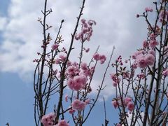 -观澜湖生态运动公社