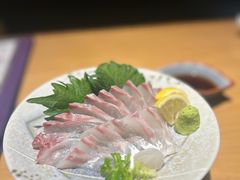 欧洲皇家金头鲷鱼刺身-稳座小料理(锦华街店)
