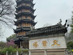 -红梅公园