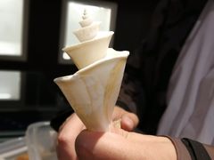 -青岛贝壳博物馆