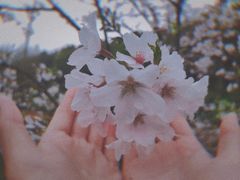 -重庆园博园