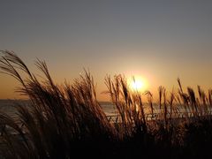 -瀛洲公园