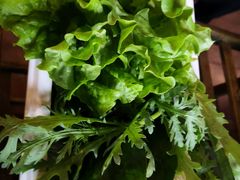 蔬菜拼盘-滇釜火锅·能喝汤的火锅(车公庄店)