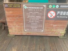 -西双版纳原始森林公园