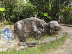 -云南勐巴娜西珍奇园