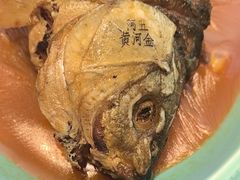 -阿五黄河大鲤鱼(英协路店)