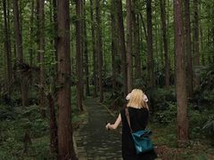 -水杉园