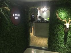 -V-STAR威斯达•高级私人定制