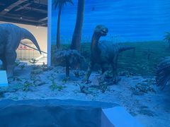 -辽宁古生物博物馆