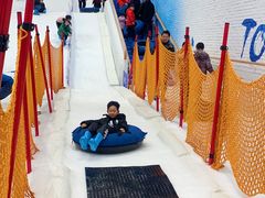 -Mr·Kuma酷么先生雪之乐园