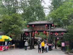 -合肥滨湖国家森林公园