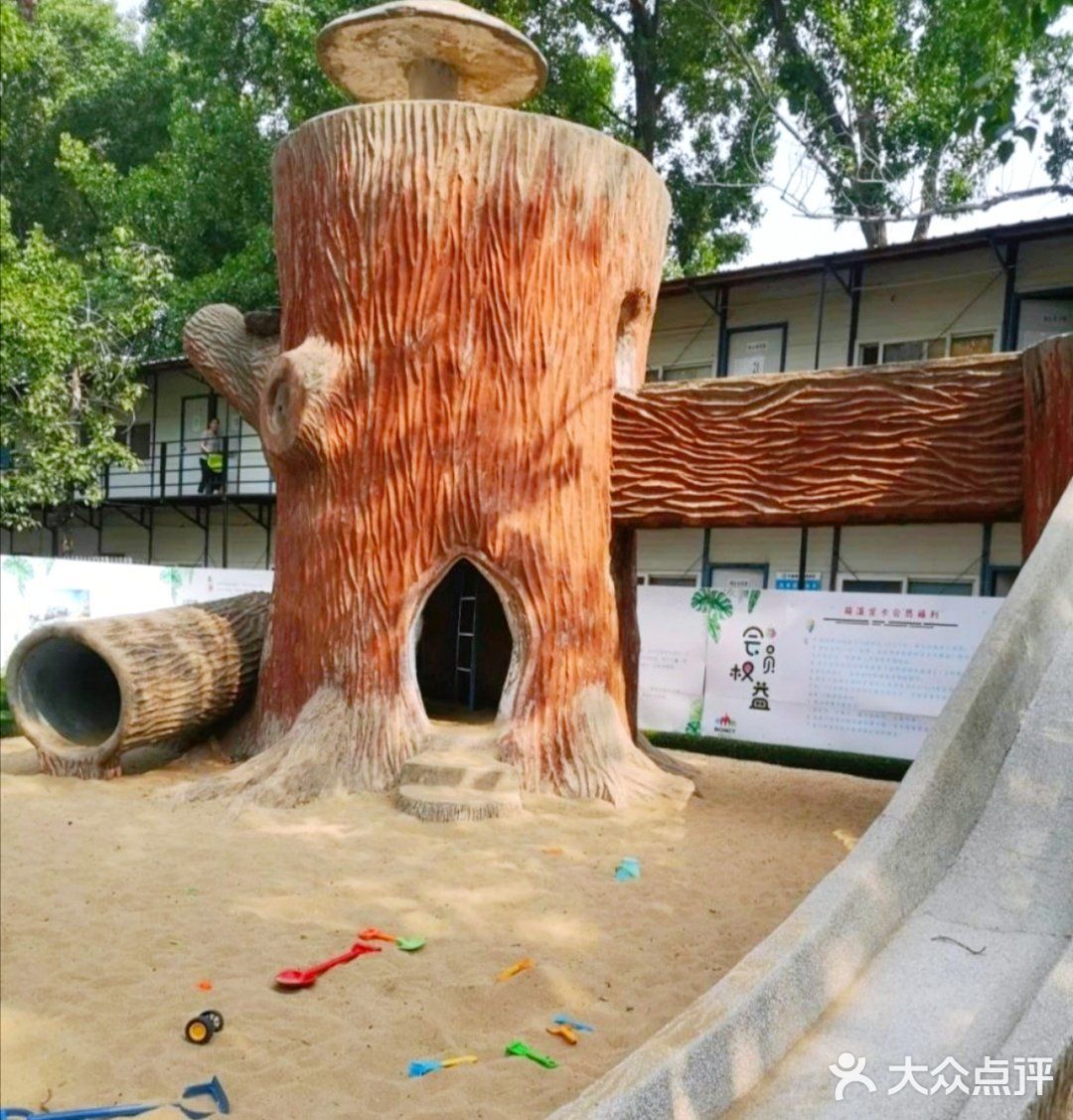孩子们放电打卡地！