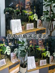 -小洁美甲美睫半永久定妆