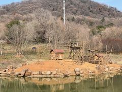 -合肥野生动物园