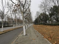 -金科路(地铁站)