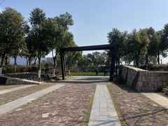 -春花秋色城市公园