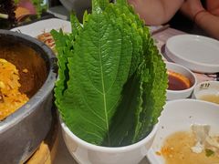 -本家韩国烤肉(青岛万象城店)