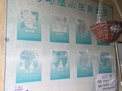 -马陆小张葡萄园农家乐