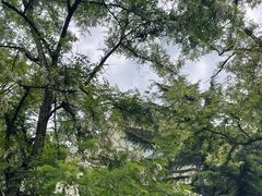 -旅顺博物馆