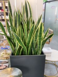 -FUTURE HN男士发型风格设计