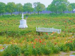 -广富林郊野公园