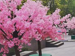-金茂览秀城