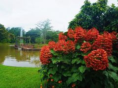 -中国科学院西双版纳热带植物园