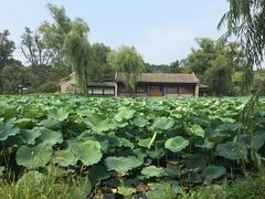 景点-承德避暑山庄景区