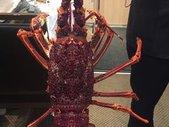 -金唐海鲜酒家