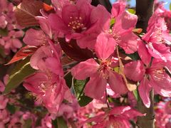 -济南国际园博园