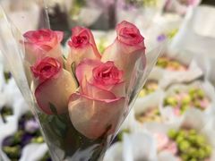 -循礼门鲜花花市(武汉循礼门店)