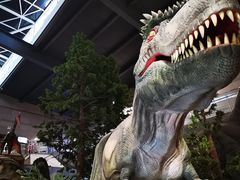 -湖南省地质博物馆