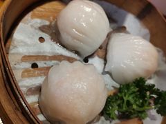 -澳门陈光记烧味饭店(南京德基广场店)