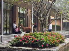 -南宁荔园维景国际酒店·荔园中餐厅