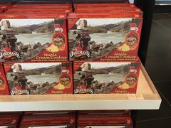 -蒙特利尔皮埃尔·埃利奥特·特鲁多国际机场