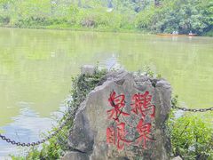 -靖西鹅泉风景区