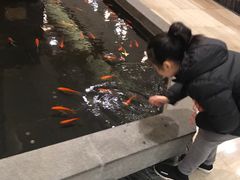 -品粹徽园·家常安徽菜