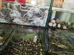 -四海鲜渔家菜(黄金海岸店)