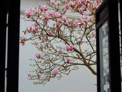 -耦园