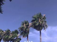 -霏梵印象公园摄影基地