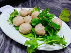 -金砂阿洲鱼册店