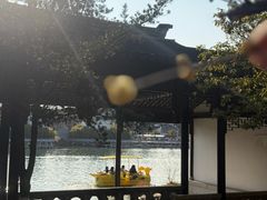 -八大山人梅湖景区
